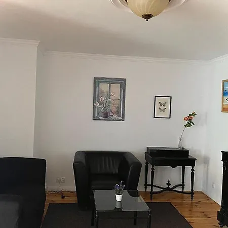Penthouse In The Old Citycenter Apartment